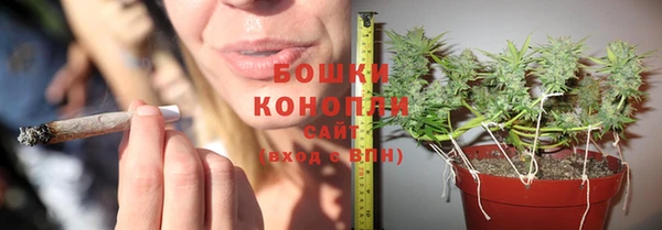 МДПВ Богданович